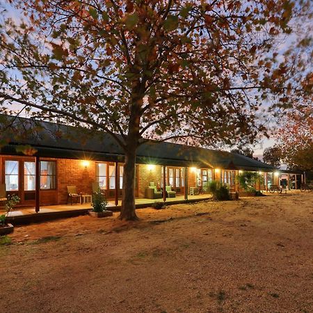 The Vineyard Motel Cowra Extérieur photo