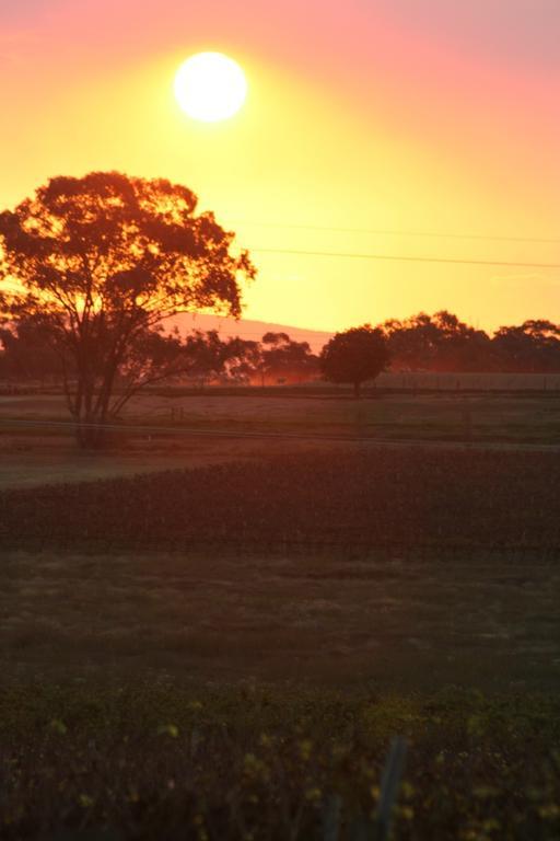 The Vineyard Motel Cowra Extérieur photo