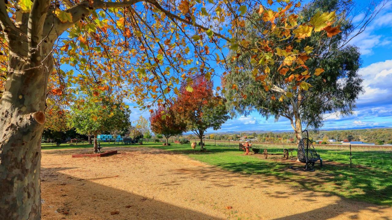 The Vineyard Motel Cowra Extérieur photo