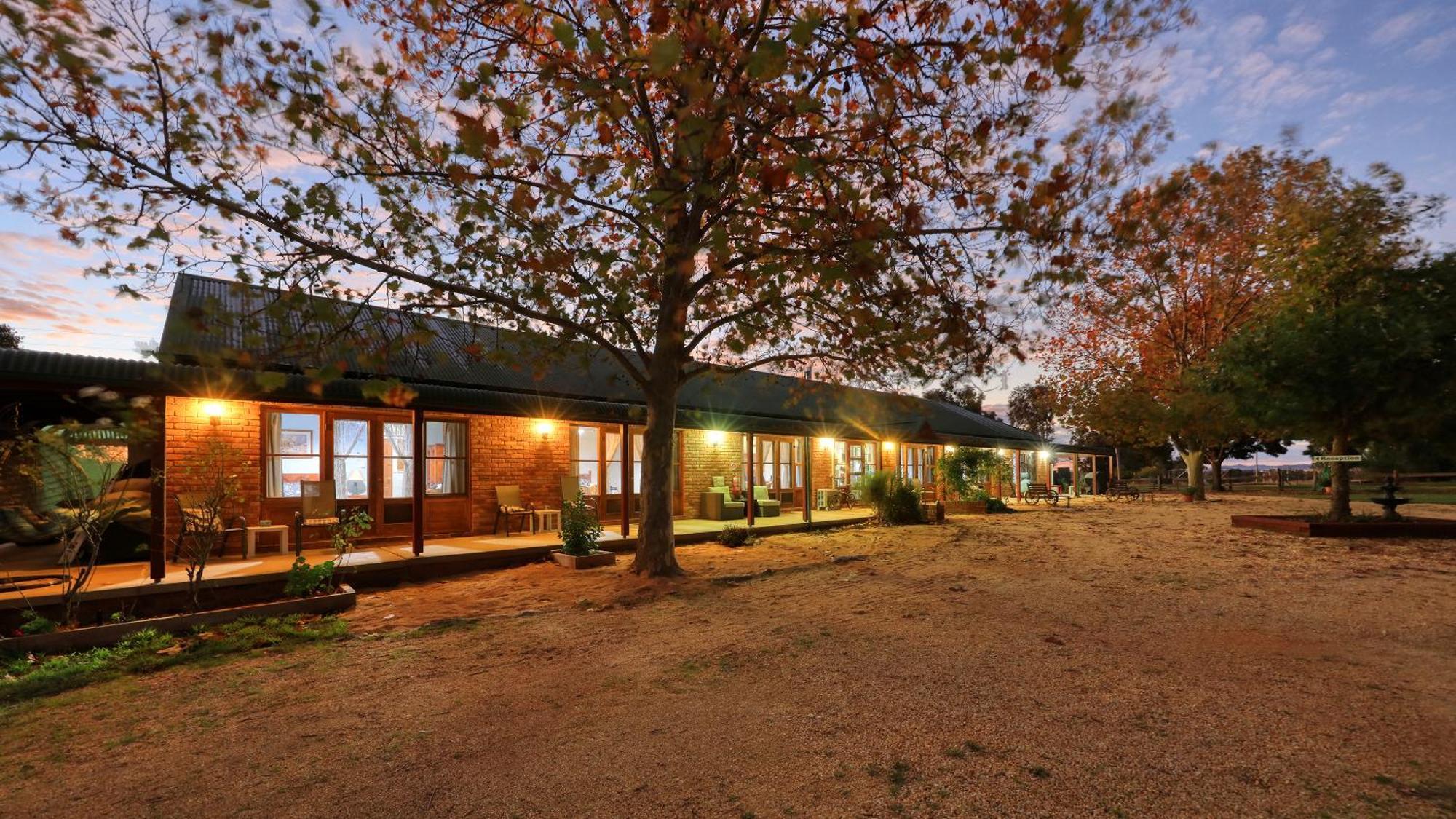 The Vineyard Motel Cowra Extérieur photo