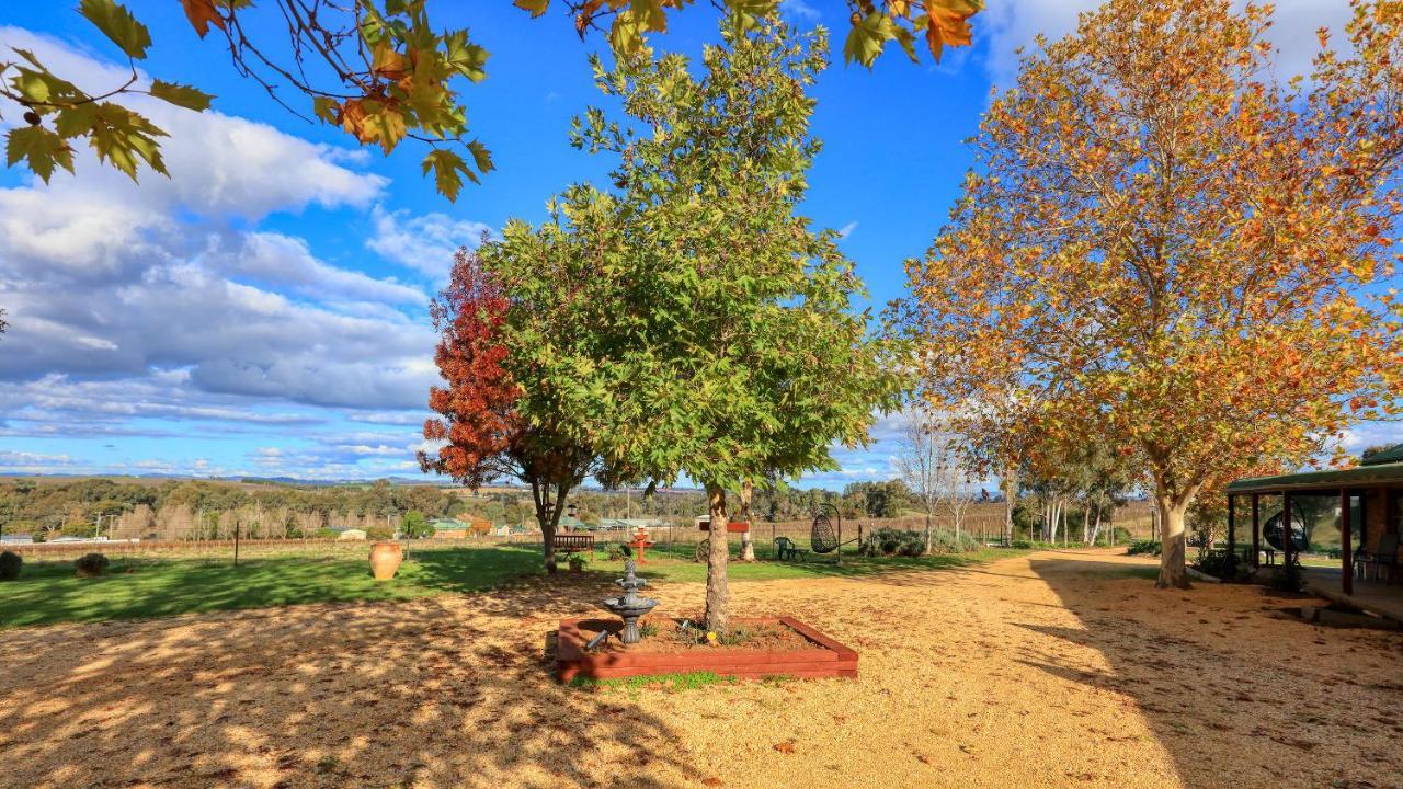 The Vineyard Motel Cowra Extérieur photo