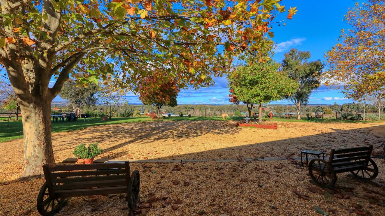 The Vineyard Motel Cowra Extérieur photo