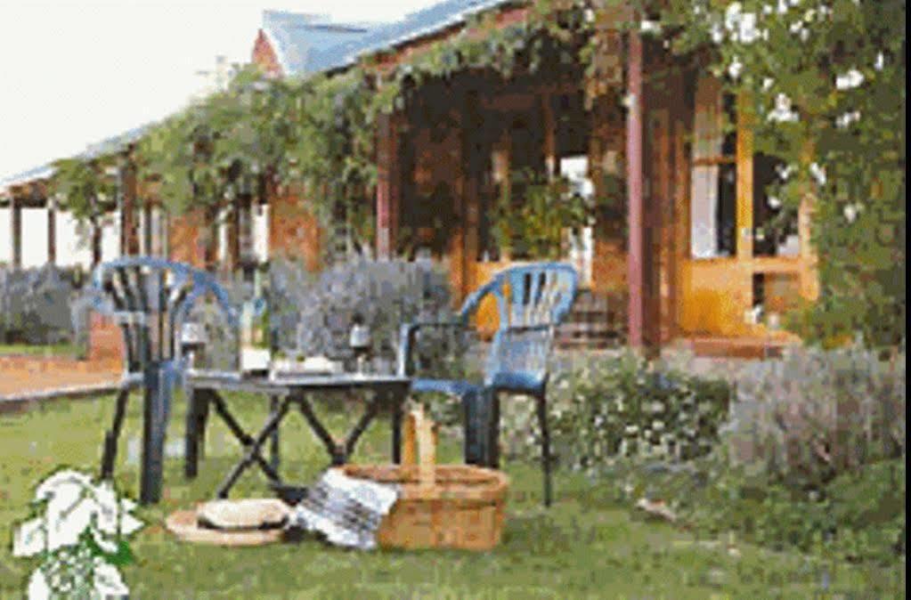 The Vineyard Motel Cowra Extérieur photo